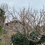 Πανδοχείο Hubertushof Fromwald Und Bad Fischau
